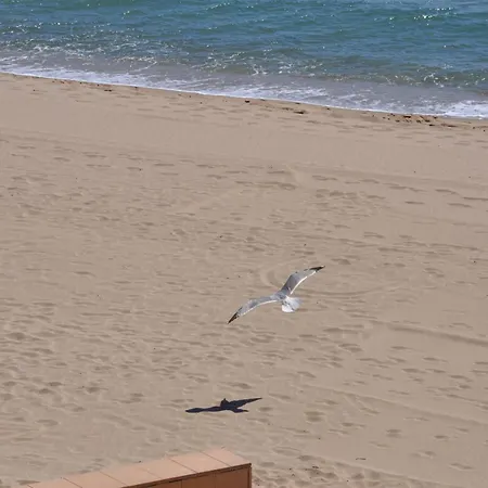 1236 Carla Mar 50m Playa - Apivend Immo * Roses